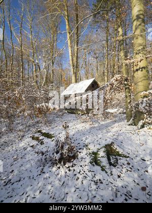 Cabane de chasseur, ancienne cabane en bois délabrée avec toit couvert de mousse, entourée de bois de hêtres recouvert de neige, forêt d'Escheberg, Hesse, Allemagne, Banque D'Images