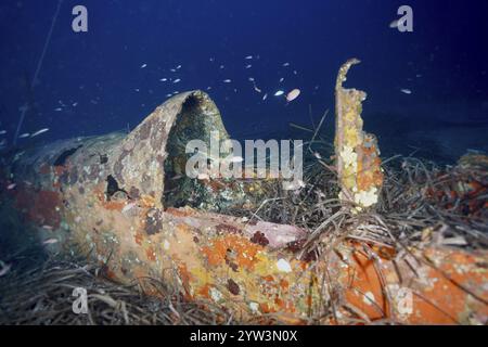 Cockpit délabré d'un avion naufré sous l'eau entouré d'herbiers marins, d'herbe Neptune (Posidonia oceanica) et de poissons, épave d'avion du site de plongée Mu Banque D'Images