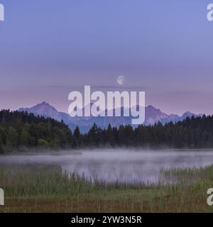 Lac calme avec vue sur la montagne dans la brume du matin, entouré de forêt, lune visible, Hegratsrieder voir près de Fuessen, Ostallgaeu, Allgaeu, Souabe, vers le haut Banque D'Images