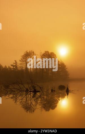 Lac calme dans le brouillard avec coucher de soleil et arbres en arrière-plan, Schwenninger mousse, Villingen-Schwenningen, Forêt Noire-Baarkreis, Bade-Wuerttemberg, Germa Banque D'Images