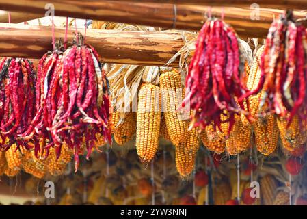 Maïs séché au soleil et piments à Huangling, comté de Wuyuan, ville de Shangrao, province de Jiangxi, Chine. Huangling est une ville ancienne datant de 500 ans. Banque D'Images