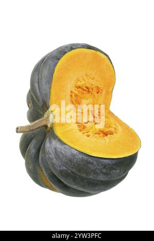 Muscat citrouille, citrouille, tranchée, tranche, nourriture, fruit, fruits, pulpe Lahn-Dill-Kreis, Hesse, République fédérale d'Allemagne Banque D'Images