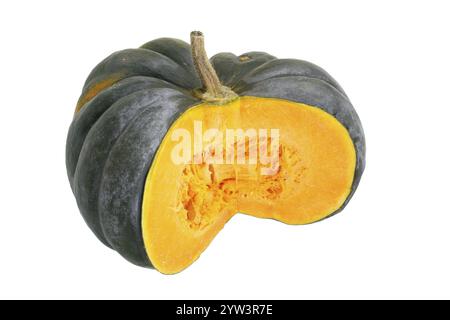 Muscat citrouille, citrouille, tranchée, tranche, nourriture, fruit, fruits, pulpe Lahn-Dill-Kreis, Hesse, République fédérale d'Allemagne Banque D'Images