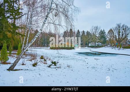 Les bouleaux et les épinettes le long de la rive du petit lac enneigé, situé à Pereiaslav Scansen, Ukraine Banque D'Images