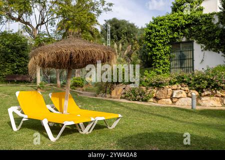 Deux chaises longues jaune vif ou chaises longues sur l'herbe avec un parasol de paille dans un jardin arrière en Espagne en été Banque D'Images