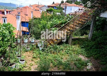 Arnea, Grèce - petit jardin négligé avec des pots de plantes, escaliers envahis par des balustrades en fer dans le village de montagne de Halkidiki Banque D'Images