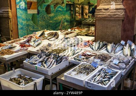 Marché aux poissons sur la via Pescherie Vecchie dans le centre-ville historique de Bologne dans la région Emilie-Romagne du nord de l'Italie Banque D'Images