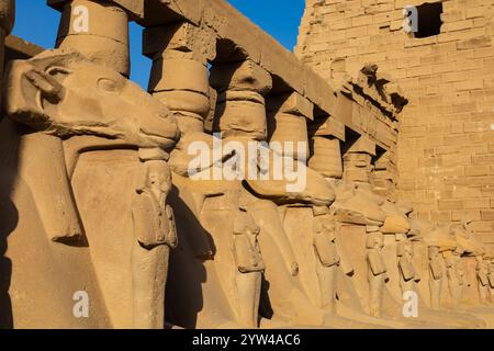 Sphinx tête de RAM, ancien musée égyptien en plein air du temple de Karnak, El-Karnack, Louxor, Égypte Banque D'Images