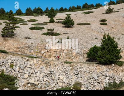 Cycliste de route masculin escaladant le Mont Ventoux, Provence, France. Banque D'Images