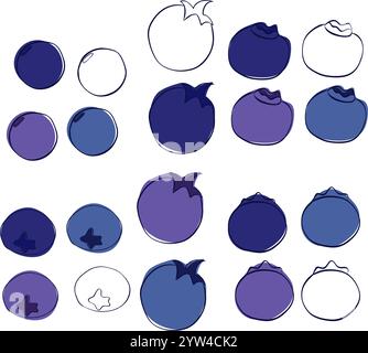 Ensemble de lignes graphiques Blueberries Vector, isolé sur fond transparent, quatre couleurs Illustration de Vecteur