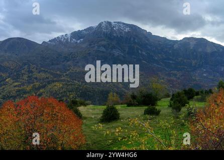 Forêt d'automne de Piedrafita de Jaca - Huesca Banque D'Images