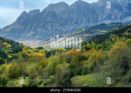 Forêt d'automne de Piedrafita de Jaca - Huesca Banque D'Images