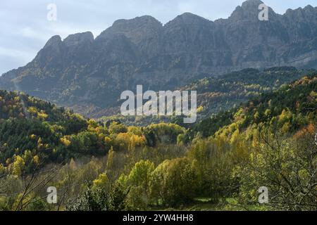 Forêt d'automne de Piedrafita de Jaca - Huesca Banque D'Images