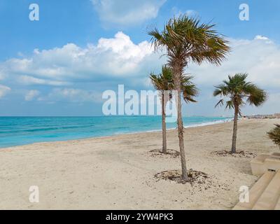 Front de mer calme avec des palmiers se balançant doucement par l'eau turquoise et ciel bleu vif avec des nuages. Banque D'Images