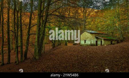 L'abri de défense fonte Romana immergé dans les bois d'automne de Passo San Leonardo dans le parc national de Maiella. Abruzzes, Italie, Europe Banque D'Images