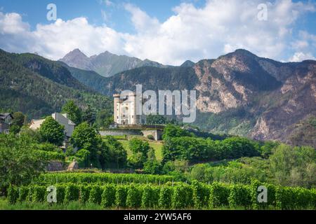 Vignobles en contrebas du château d'Aymavilles. Région de la Vallée d'Aoste, Italie Banque D'Images