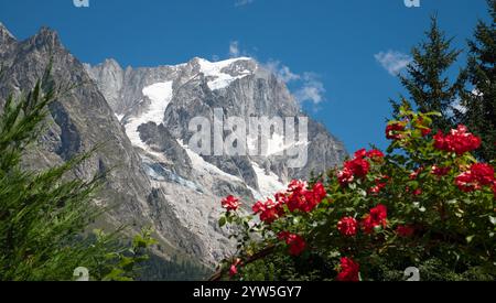 Le massif des Grands Jorasses d'Entrèves est situé dans la vallée des rosses - Val Ferret en Italie. Banque D'Images