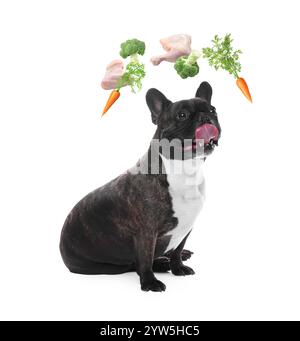 Chien mignon entouré de légumes volants et de viande de poulet crue sur fond blanc. Nourriture naturelle pour animaux de compagnie Banque D'Images