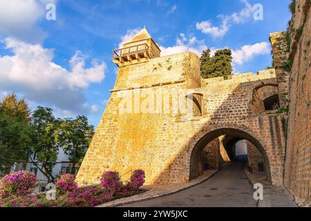 Porte d'entrée du château d'Ibiza, monument emblématique de Dalt Vila, la vieille ville historique d'Ibiza, en Espagne Banque D'Images