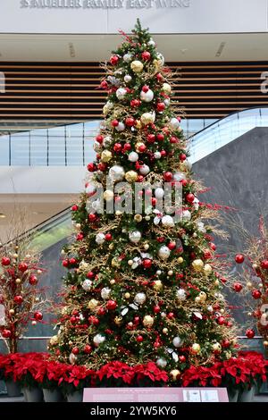 Décorations de vacances avec arbre de Noël dans l'atrium Ames du Cleveland Museum of Art, décembre 2024 Banque D'Images