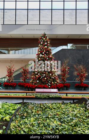Décorations de vacances avec arbre de Noël dans l'atrium Ames du Cleveland Museum of Art, décembre 2024 Banque D'Images