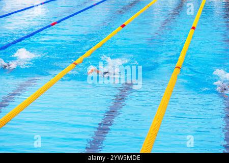Nageuse féminine méconnaissable nageant un coup de nage libre ou un rampage en avant pendant une course de natation dans une piscine de taille olympique Banque D'Images