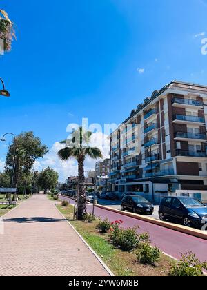 Porto Sant'Elpidio, Italie - 06 juillet 2022 : scène urbaine avec un chemin piétonnier bordé de palmiers et d'appartements modernes contre un SK bleu clair Banque D'Images