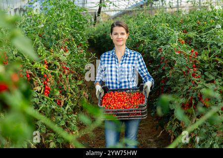 Une femme paysanne porte une boîte avec des tomates cerises Banque D'Images