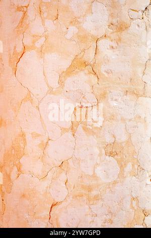 Image en gros plan d'une colonne de marbre rose montrant des détails Banque D'Images