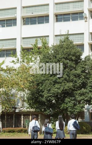 Vue arrière des lycéens sur le chemin de l'école Banque D'Images