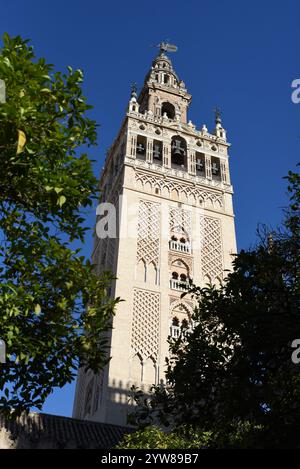 La Tour Giralda de la Cathédrale est omniprésente dans le centre-ville de Séville Banque D'Images