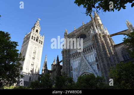 La Tour Giralda de la Cathédrale est omniprésente dans le centre-ville de Séville Banque D'Images