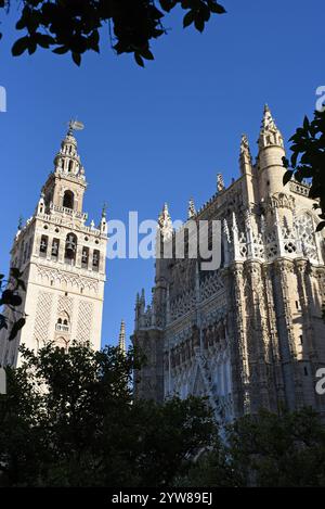 La Tour Giralda de la Cathédrale est omniprésente dans le centre-ville de Séville Banque D'Images