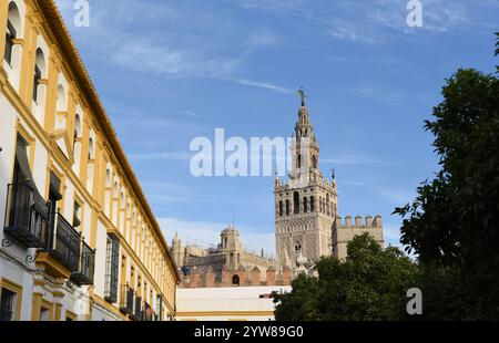 La Tour Giralda de la Cathédrale est omniprésente dans le centre-ville de Séville Banque D'Images