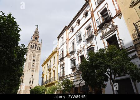 La Tour Giralda de la Cathédrale est omniprésente dans le centre-ville de Séville Banque D'Images