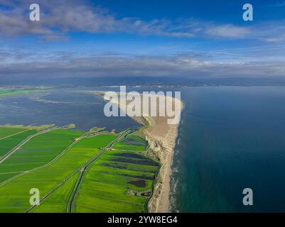 Vue aérienne de la baie et de la pointe de Fangar et les rizières du delta de l'Èbre, verte un matin d'été (Baix Ebre, Tarragone, Catalogne, Espagne) Banque D'Images