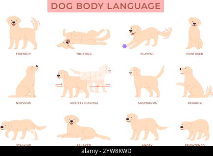Langue du chien. Affiche d'information sur le comportement du chiot. Mignon labrador Golden retriever dans différentes poses et réactions. Émotions d'animaux domestiques, anxiété heureux en colère, racé Illustration de Vecteur