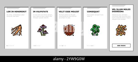 ayurvedic herbs médecine santé onboarding icônes set vecteur Illustration de Vecteur