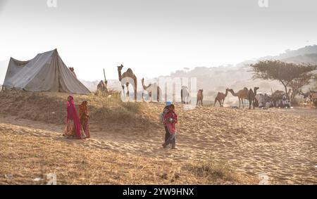 Camel Pushkar Fair Banque D'Images