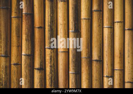 Vue rapprochée d'un mur de bambou. Banque D'Images