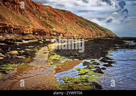 UK, North Yorkshire, Filey Brigg. Banque D'Images