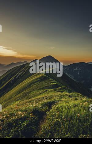 Randonnée sur la montagne Hoenig dans la vallée du Lechtal près de Berwang dans le Tyrol, Autriche, Europe Banque D'Images