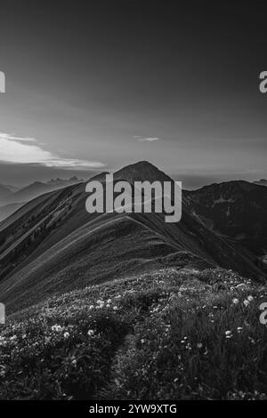 Randonnée sur la montagne Hoenig dans la vallée du Lechtal près de Berwang dans le Tyrol, Autriche, Europe Banque D'Images