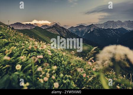 Randonnée sur la montagne Hoenig dans la vallée du Lechtal près de Berwang dans le Tyrol, Autriche, Europe Banque D'Images