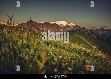 Randonnée sur la montagne Hoenig dans la vallée du Lechtal près de Berwang dans le Tyrol, Autriche, Europe Banque D'Images