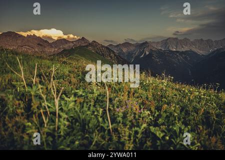 Randonnée sur la montagne Hoenig dans la vallée du Lechtal près de Berwang dans le Tyrol, Autriche, Europe Banque D'Images