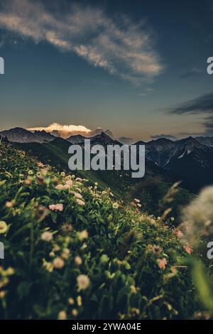 Randonnée sur la montagne Hoenig dans la vallée du Lechtal près de Berwang dans le Tyrol, Autriche, Europe Banque D'Images