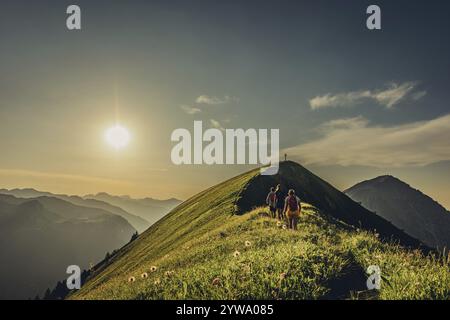 Randonnée sur la montagne Hoenig dans la vallée du Lechtal près de Berwang dans le Tyrol, Autriche, Europe Banque D'Images