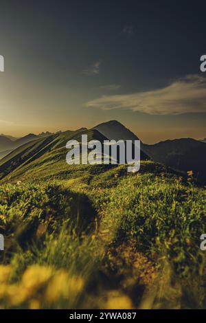 Randonnée sur la montagne Hoenig dans la vallée du Lechtal près de Berwang dans le Tyrol, Autriche, Europe Banque D'Images