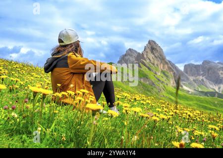 Jeune femme assise dans un champ de fleurs jaunes admirant le groupe de montagne odle dans les dolomites italiennes Banque D'Images